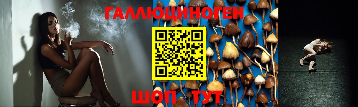 Псилоцибиновые грибы мухоморы Южноуральск